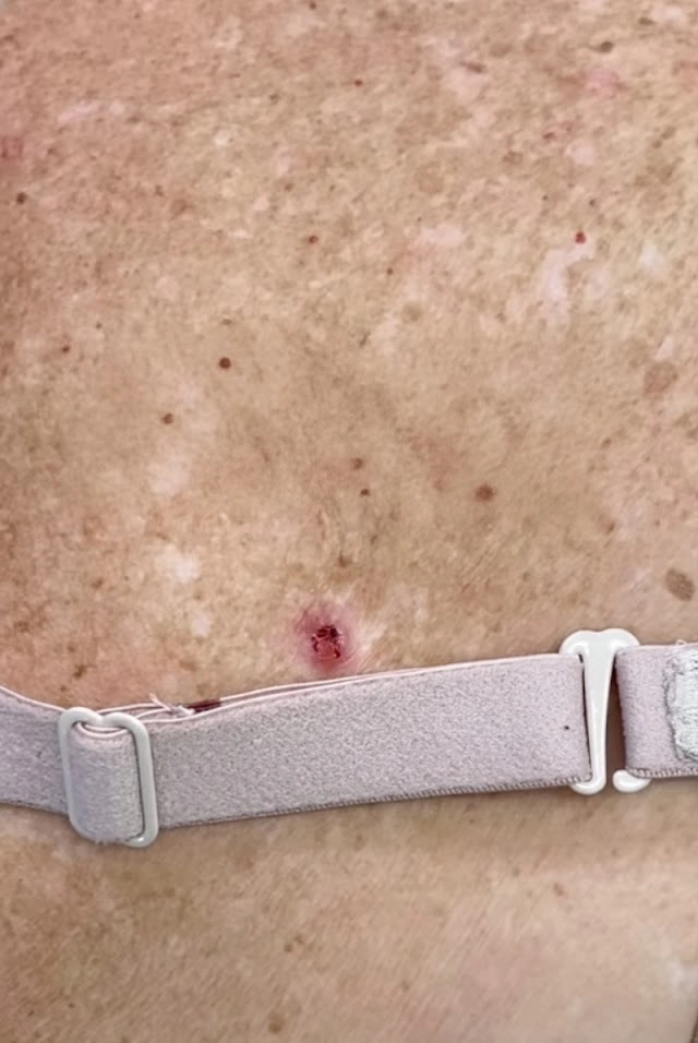 Foto Celular - Eugenia